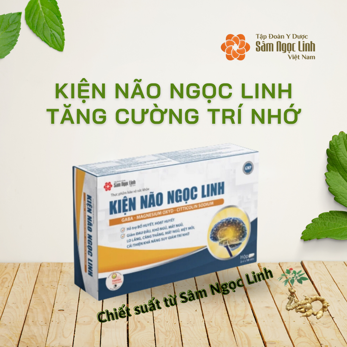 Kiện Não Ngọc Linh – Tăng Cường Trí Nhớ